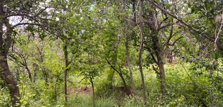 Terreno en Venta en Genaro Codina, Zacatecas
