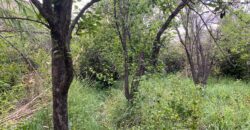 Terreno en Venta en Genaro Codina, Zacatecas