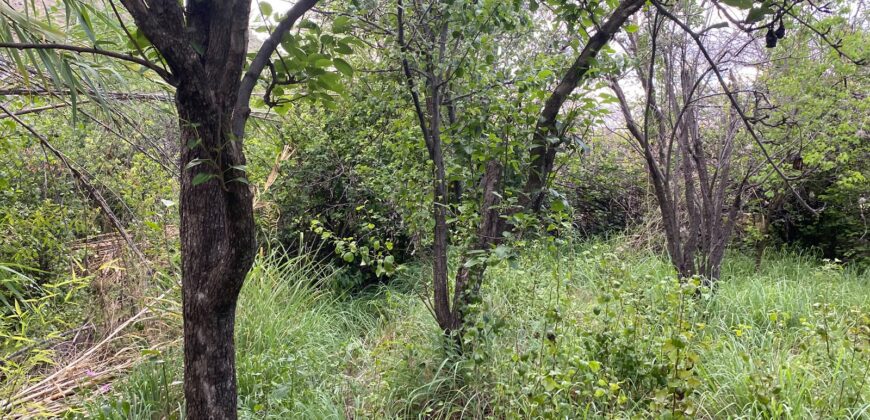 Terreno en Venta en Genaro Codina, Zacatecas