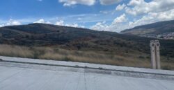 Dos Terrenos en Venta en Zacatecas, en Ganaderos Bernárdez