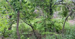 Terreno en Venta en Genaro Codina, Zacatecas