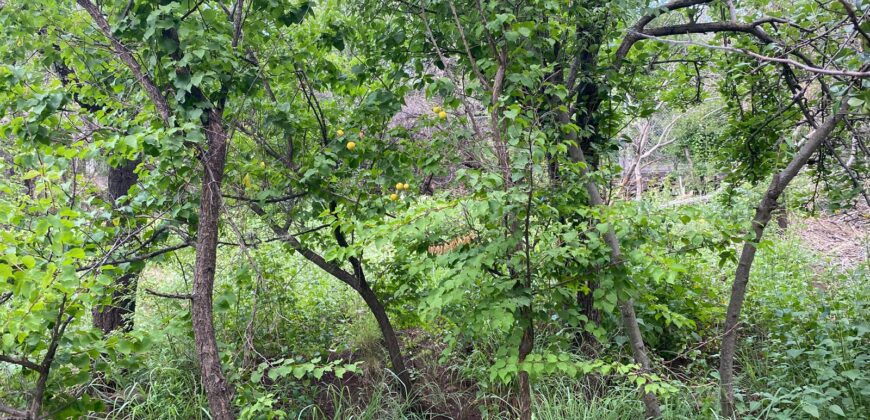 Terreno en Venta en Genaro Codina, Zacatecas