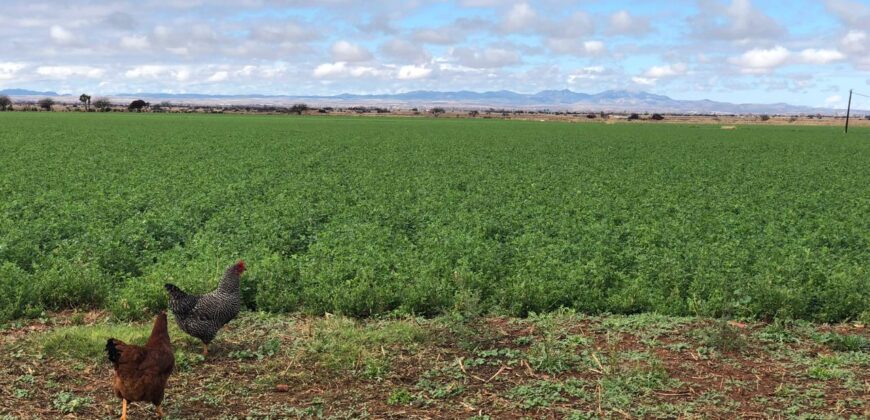 Rancho en Venta en Calera Zacatecas, por carretera  a Nuevo Mercurio hasta Colonia Carrillo Puerto