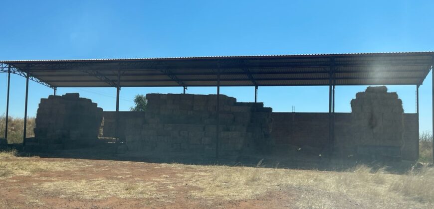 Rancho en Venta en Calera Zacatecas, por carretera  a Nuevo Mercurio hasta Colonia Carrillo Puerto