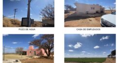 Rancho en Venta en Calera Zacatecas, por carretera  a Nuevo Mercurio hasta Colonia Carrillo Puerto
