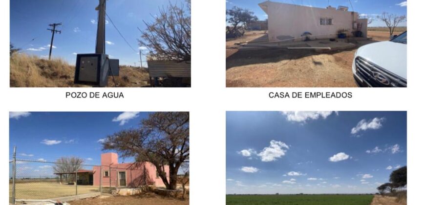 Rancho en Venta en Calera Zacatecas, por carretera  a Nuevo Mercurio hasta Colonia Carrillo Puerto
