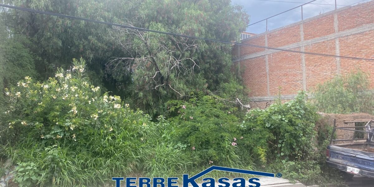 Terreno en Venta en  Centro de Guadalupe en Calle de las Flores de 280 m2