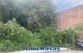 Terreno en Venta en  Centro de Guadalupe en Calle de las Flores de 280 m2
