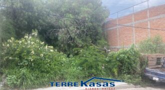 Terreno en Venta en  Centro de Guadalupe en Calle de las Flores de 280 m2
