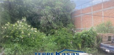 Terreno en Venta en  Centro de Guadalupe en Calle de las Flores de 280 m2