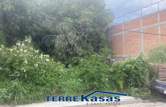 Terreno en Venta en  Centro de Guadalupe en Calle de las Flores de 280 m2