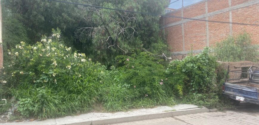 Terreno en Venta en  Centro de Guadalupe en Calle de las Flores de 280 m2