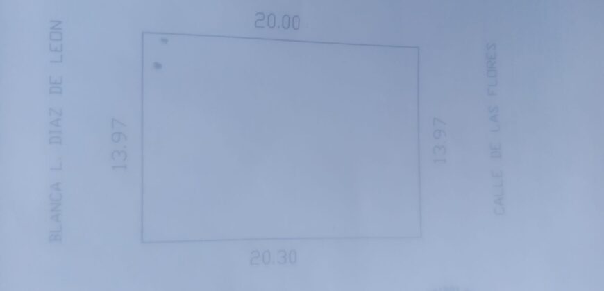 Terreno en Venta en  Centro de Guadalupe en Calle de las Flores de 280 m2